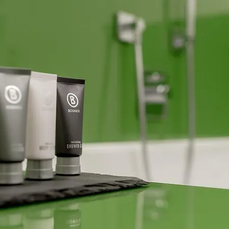 Hotel Alpenhotel Krone 4*